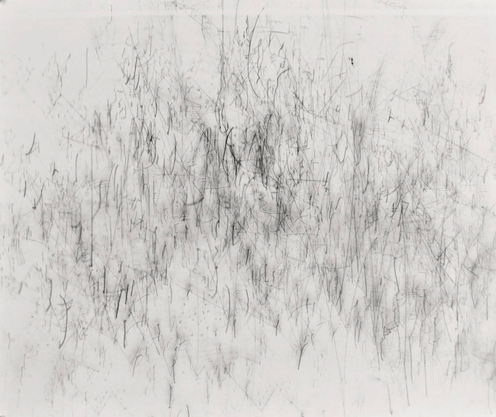 Economie vibratoire C, 50 x 60 cm, 2015
